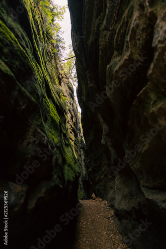 Obraz na płótnie Schmaler Wanderweg führt durch eine enge, dunkle Felsspalte mit moosbewachsenen Sandsteinwänden in der Sächsischen Schweiz