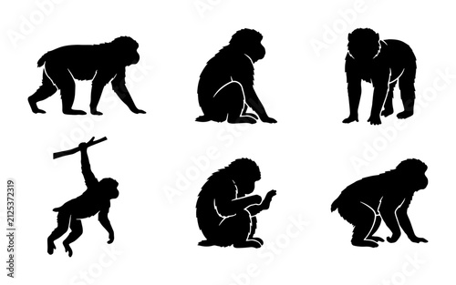Photography Monkey Silhouettes: Primate Poses, Wildlife Vector Icons, Jungle Animal Graphics