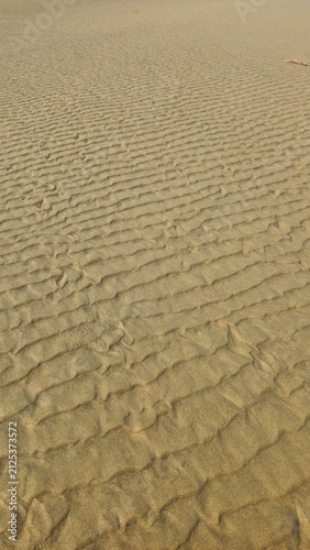 ripples in the sand  with seaweed heart and bubble at pacific coast beach.