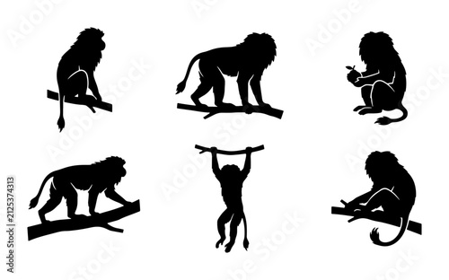 Photography Monkey Silhouettes Set, Primate Poses Collection, Jungle Wildlife Vector Graphic