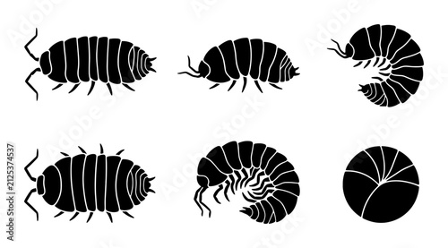 Woodlouse Insect Vector Icons, Pill Bug Illustrations, Rolled Up Armadillo Bug Silhouettes