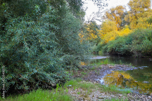 Fotografie A tranquil forest stream flows gently past lush green willows and a stony riverbank