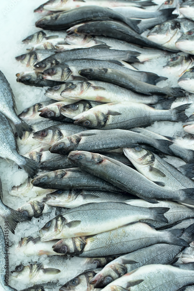 Obraz premium Fresh Whole Sea Bass Fish Displayed on Crushed Ice
