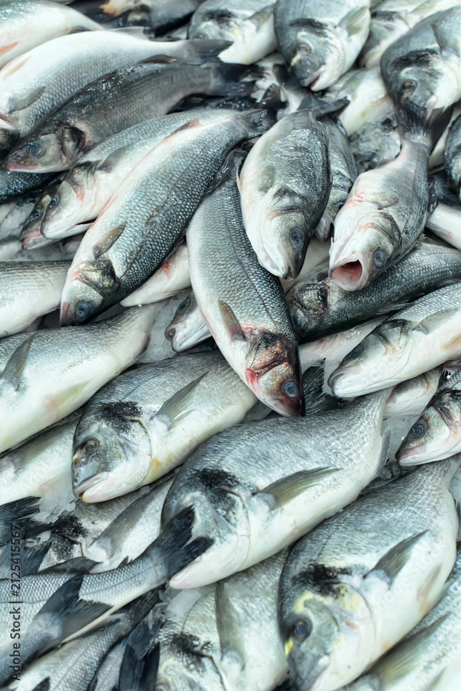 Obraz premium Fresh Gilthead Sea Bream on Ice at Seafood Market