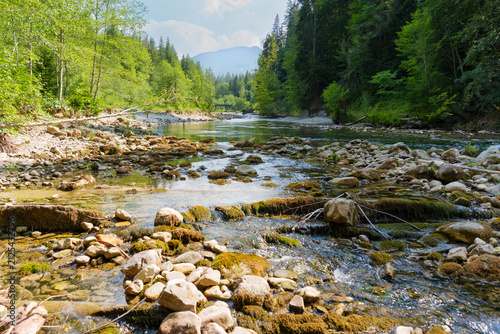 Scenic View of the Clear River Flowing Through Ammer Gorge Germany