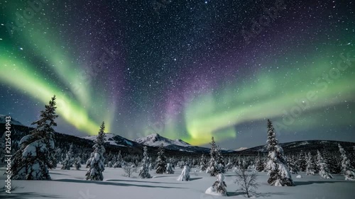 Vibrant Green and Purple Aurora Borealis Illuminating Snowy Winter Landscape with Forest and Mountains at Night. video motion.