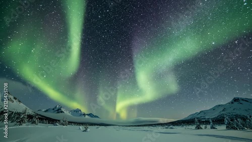 Green aurora borealis dancing over snow-covered mountains and fjord under starry night sky.
