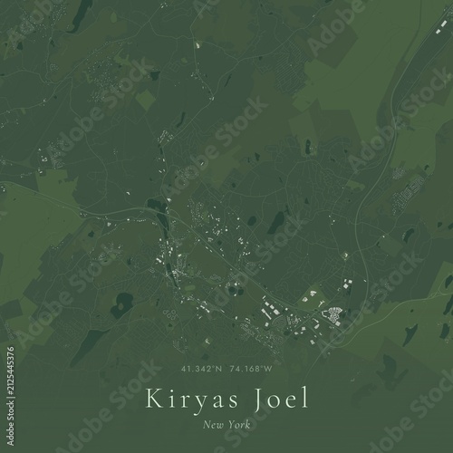 Foto Sage Green Map of Kiryas Joel, United States | Modern Scandinavian Wall Art