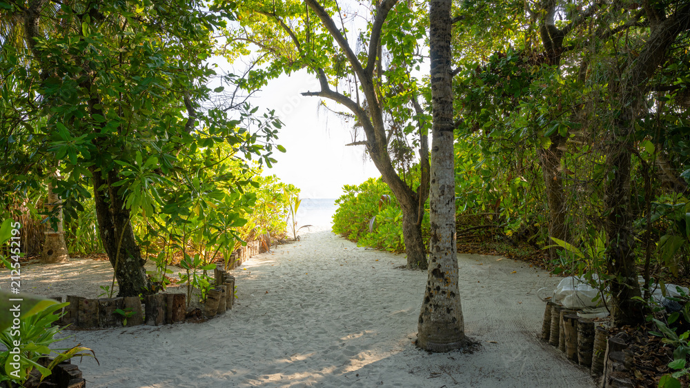 Obraz premium Sandy path leading through lush green tropical vegetation to a bright sunlit beach, Omadhoo, Maldives. Empty trail to the ocean on a summer vacation island