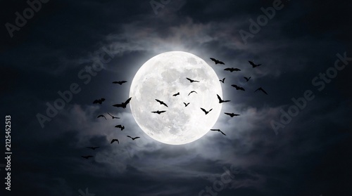 A swarm of dark bats flying in front of a bright full moon set against a dramatic night sky filled with