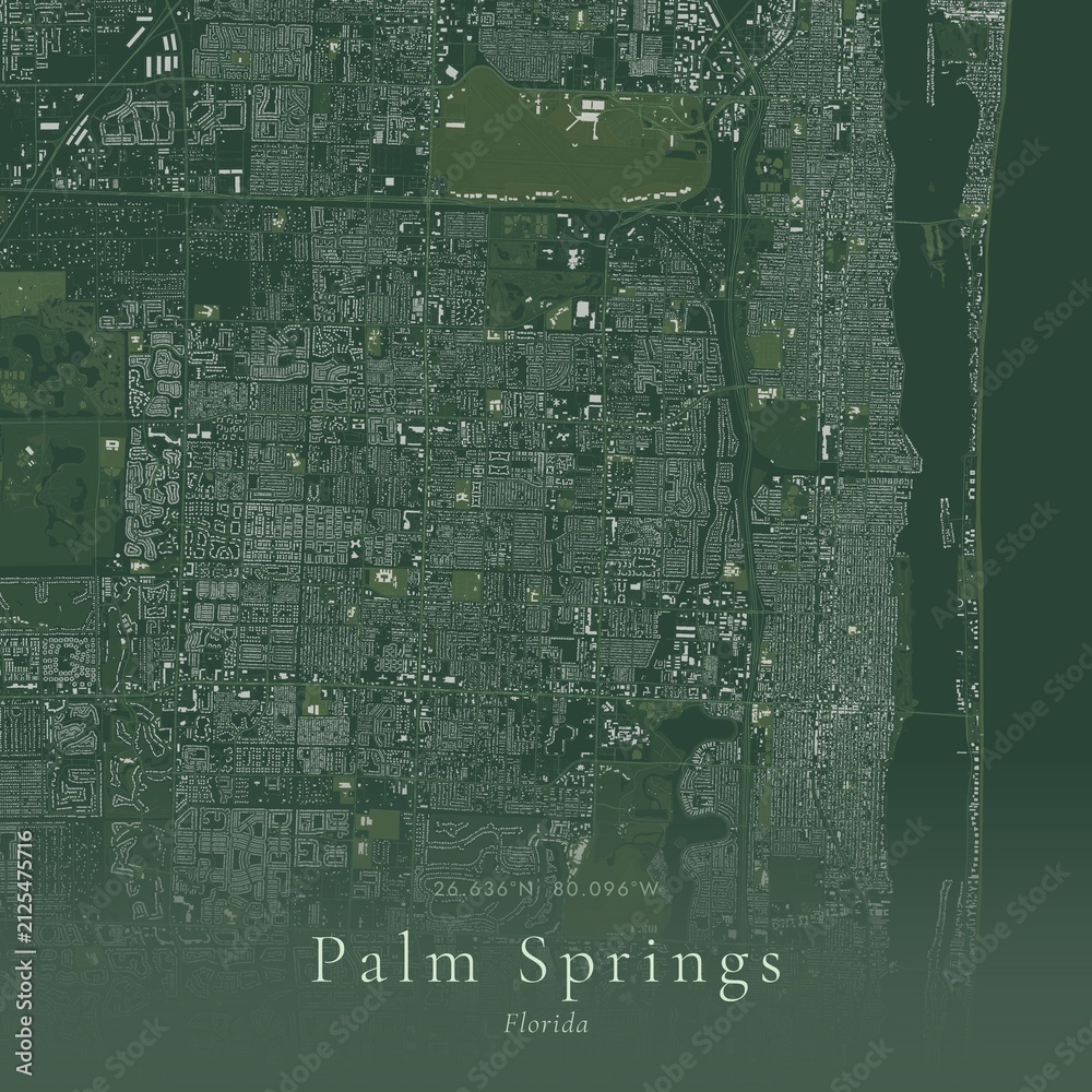 Obraz premium Sage Green Map of Palm Springs, United States | Modern Scandinavian Wall Art