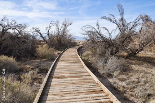 Boardwalk through Ash Meadows National Wildlife Refuge, Nevada