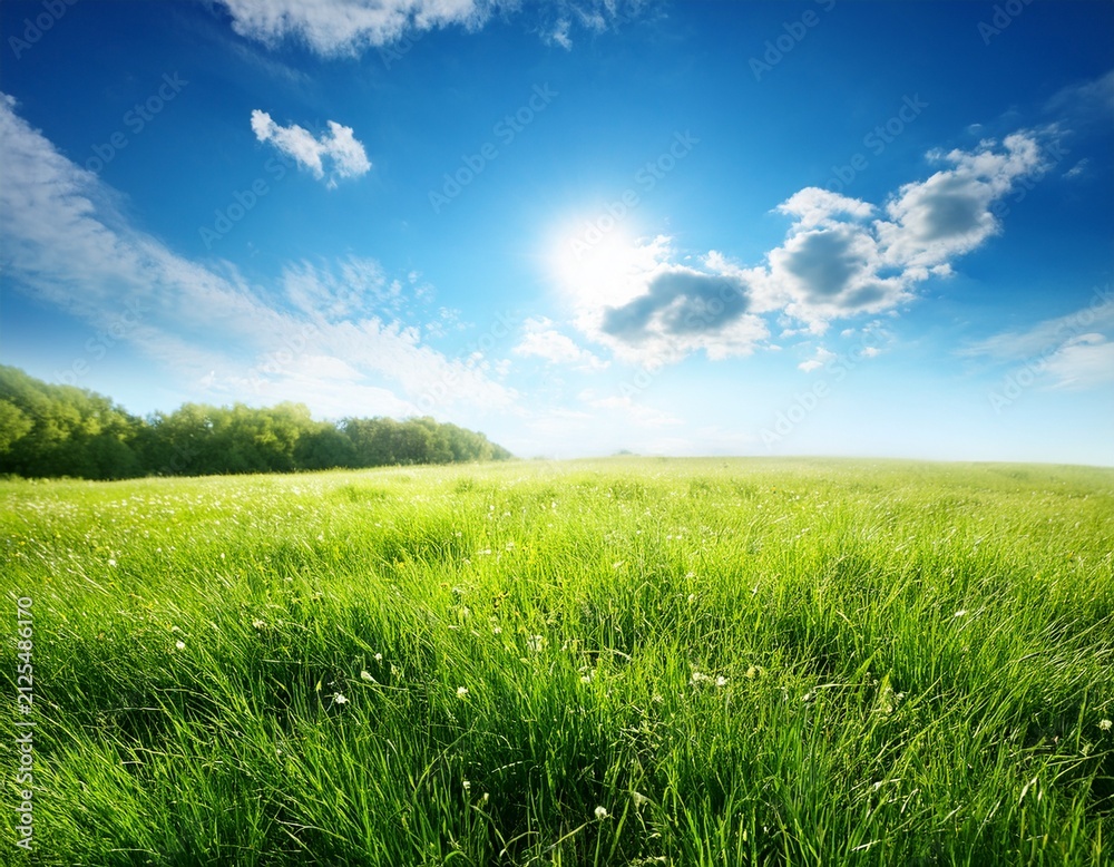 Obraz premium summer sunny background with blue sky and green meadow