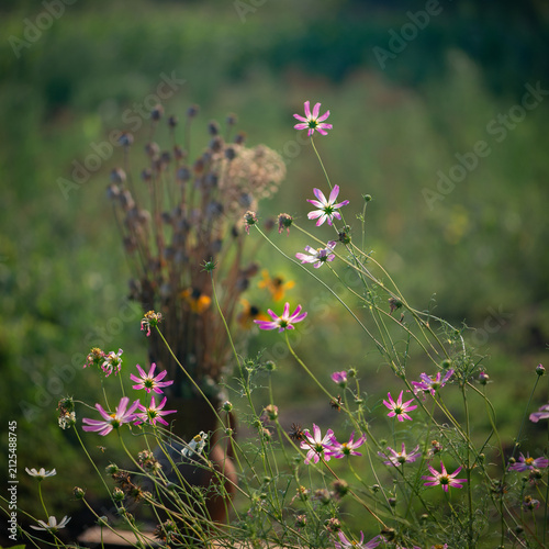 Foto Romantic, natural bouquet with wildflowers