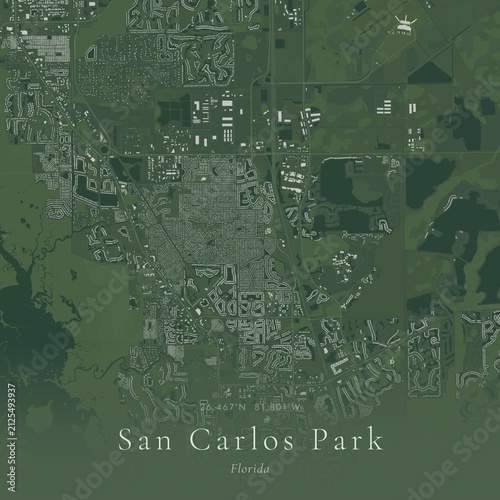 Fotografie Sage Green Map of San Carlos Park, United States | Modern Scandinavian Wall Art