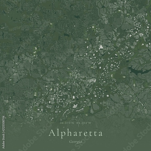 Sage Green Map of Alpharetta, United States | Modern Scandinavian Wall Art