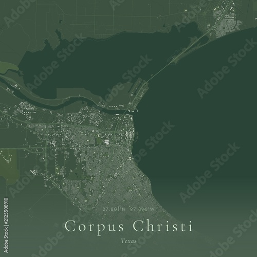 Sage Green Map of Corpus Christi, United States | Modern Scandinavian Wall Art