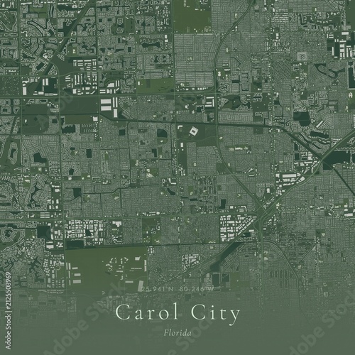 Sage Green Map of Carol City, United States | Modern Scandinavian Wall Art