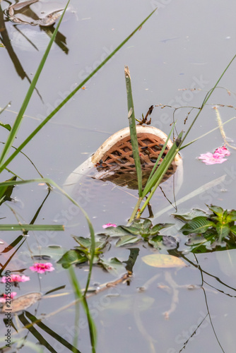Vertical view of a discarded sneaker sole floating in a lake with pink flowers. Conceptual photography on pollution and environmental impact for stock.