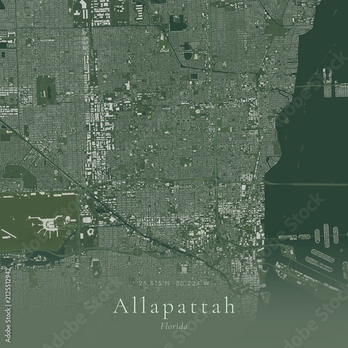 Sage Green Map of Allapattah, United States | Modern Scandinavian Wall Art