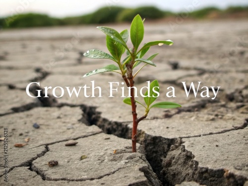 Obraz na płótnie Young Sapling Pushing Through Cracked Dry Earth