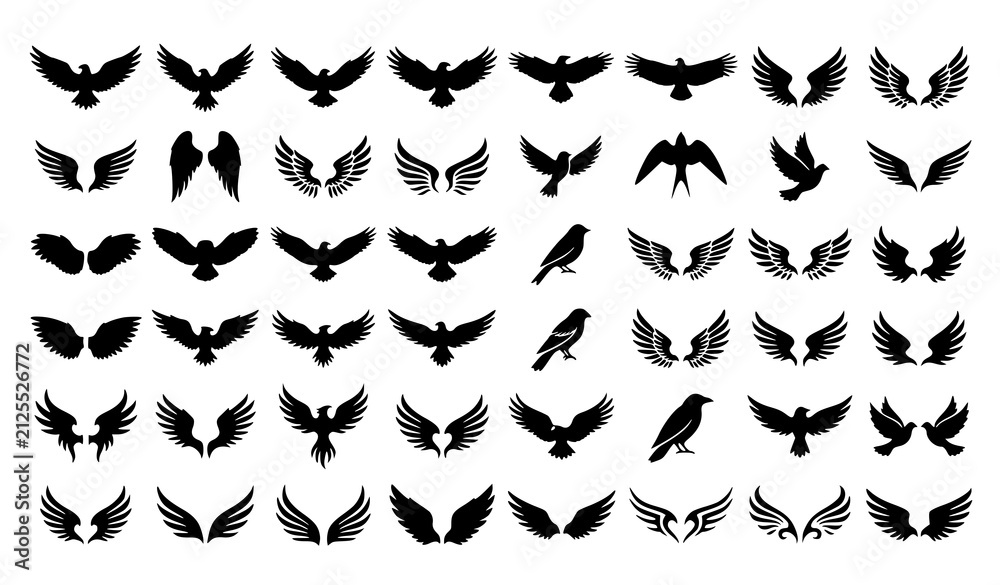 Fototapeta premium Bird Wings Silhouette Vector Set Black Feather Wing Collection