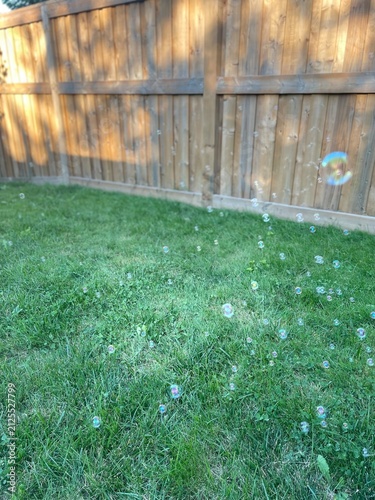 Bubbles 🫧 with Nature background 