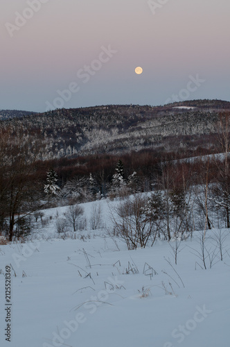 Foto winter moon in the mountains over snowy forest