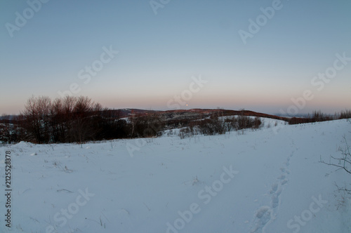 Bild auf Leinwand winter moon in the mountains over snowy forest