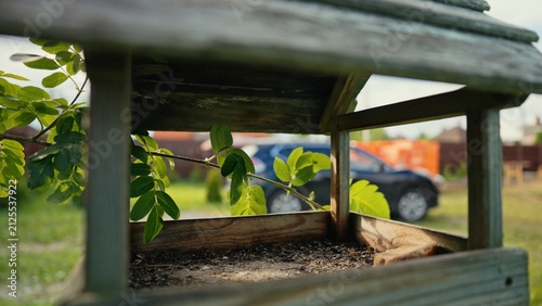 Wooden bird feeder with seeds inside, captured from a low angle view, showing fresh green leaves of a tree branch on a sunny day with a blurred car in the background