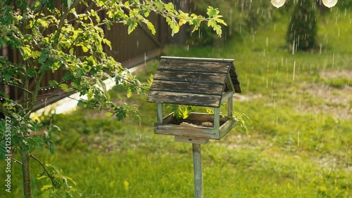 Photography Wooden bird feeder experiencing a gentle summer shower in a vibrant green backya