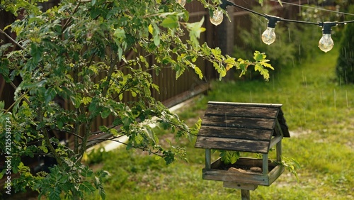 Wooden birdhouse standing in a lush green backyard garden as light rain falls, watering the vibrant leaves of a young tree and string lights illuminate the serene outdoor scene