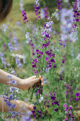 Hands harvesting purple field flowers in garden