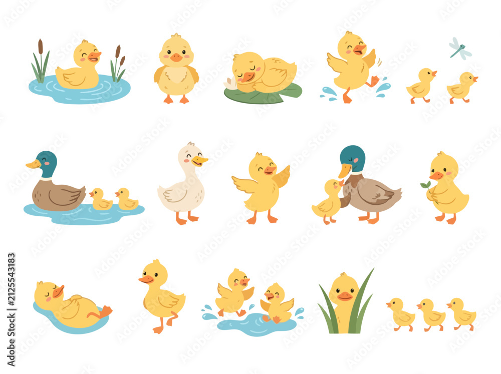 Fototapeta premium A collection of cute cartoon ducklings and ducks in various playful poses.