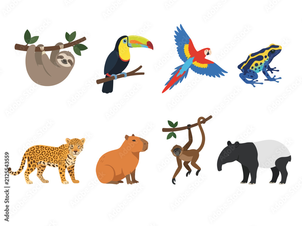 Fototapeta premium A collection of diverse tropical rainforest animals including a sloth toucan parrot frog jaguar capybara monkey and tapir.