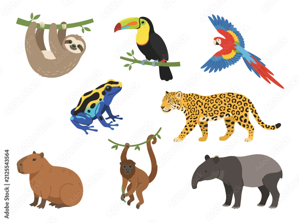 Fototapeta premium A collection of diverse South American rainforest animals including a sloth toucan parrot frog jaguar capybara monkey and tapir.