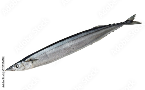 サンマ 生の丸ごと1匹の切り抜き 秋刀魚 魚介海鮮食材素材