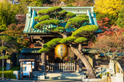 日本の風景・秋　神奈川県鎌倉市　紅葉の長谷寺　山門