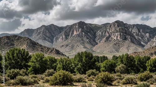 Rugged mountain range under cloudy sky. Green trees grow in valley below rocky slopes. Arid scrubland in foreground. Vast natural landscape scene.
