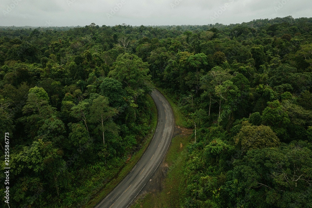 Fototapeta premium Aerial Drone View of a Winding Road Through Lush Tropical Rainforest