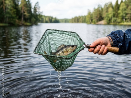 Angler holding freshly caught fish in net by serene lake with forested shores