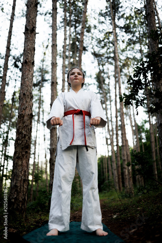 Obraz na plátně Young karate student with red belt practicing a strong stance and focused discip