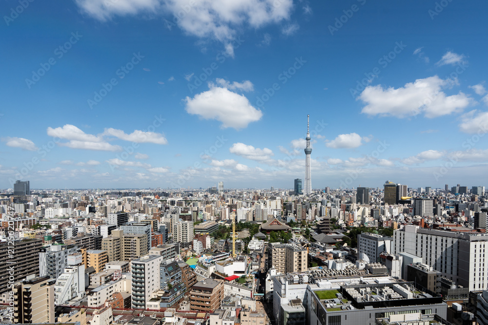 Naklejka premium 浅草の町と東京スカイツリーの風景