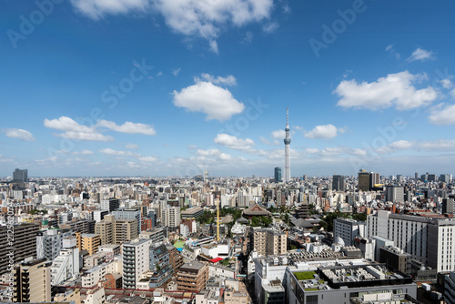 浅草の町と東京スカイツリーの風景