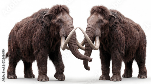 Photorealistic Mammuthus primigenius isolated on white background, showing detailed woolly fur, tusks, trunk, anatomy, and scientifically accurate paleontological reconstruction.