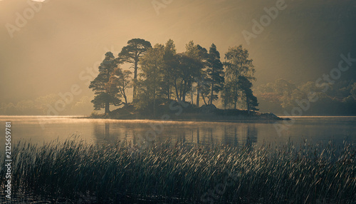 Serene Morning Landscape with Misty Lake, Lush Trees, and Vibrant Greenery: A Tranquil Scene for Nature, Travel, and Editorial Use