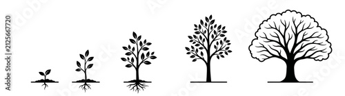 Foto Vector Series 2026 Illustrating Various Tree Growth Stages Frame by Frame from S