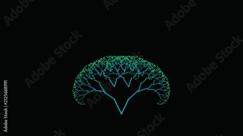 Procedural L-System Fractal Tree Growth Math