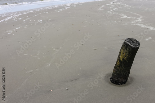 Canvastavla Folly Beach, South Carolina, Atlantic Ocean, driftwood and dead trees on the beach, gray sky, overcast, haze