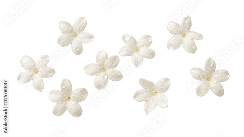 Jasmine Blossoms with Dew PNG Transparent.